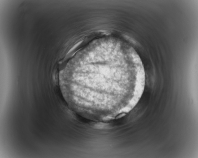 X0000083550718200703091554
