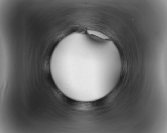 X0000083550719200703091554