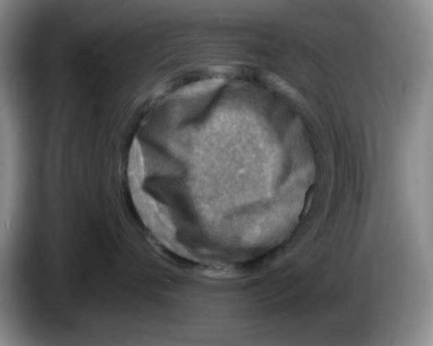 X0000083550720200703091554