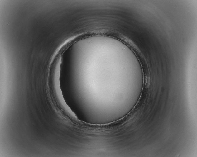 X0000083550724200703091553
