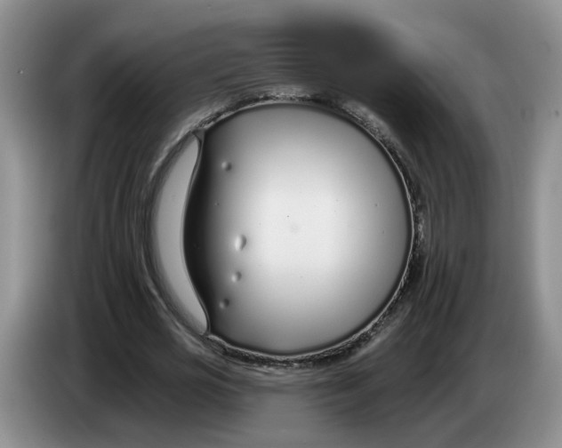 X0000083550725200703091553
