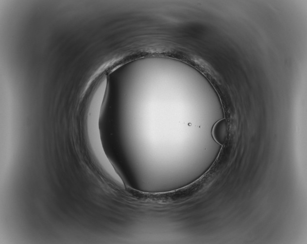 X0000083550727200703091553