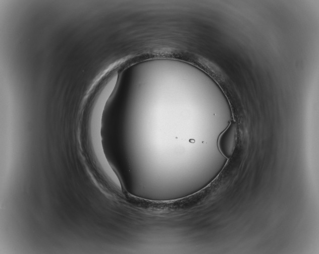 X0000083550728200703091553