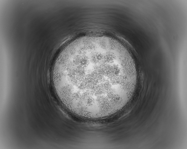 X0000083550729200703091553