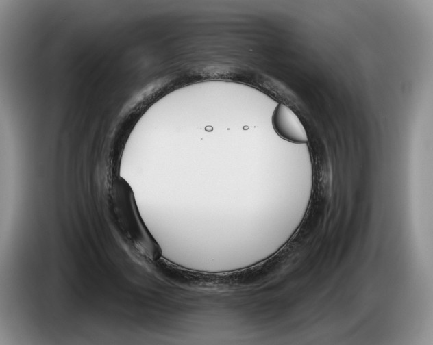 X0000083550732200703091553