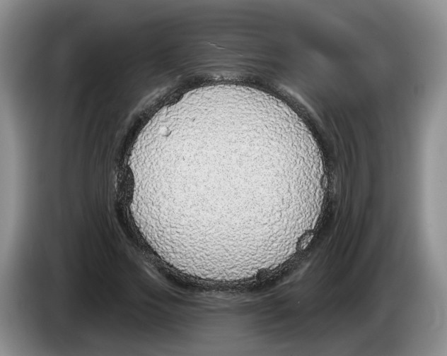 X0000083550733200703091553