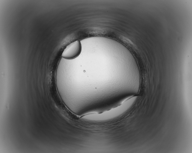 X0000083550735200703091553