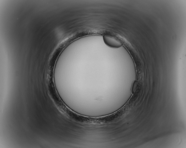 X0000083550736200703091553