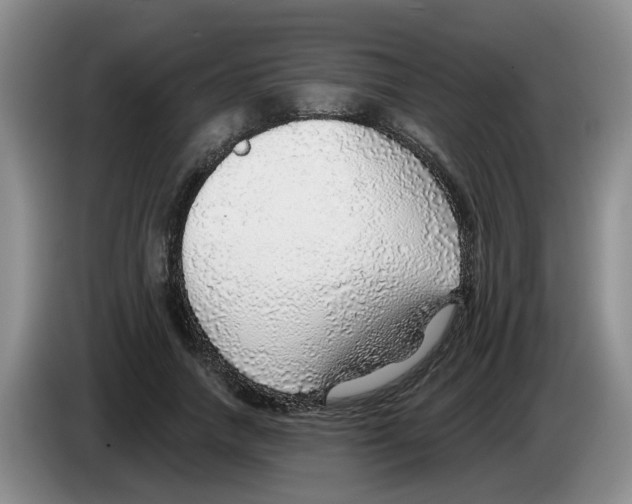 X0000083550738200703091553