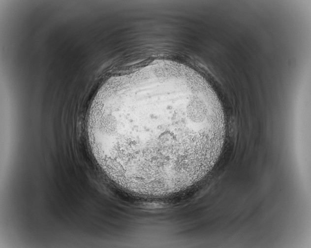 X0000083550741200703091553