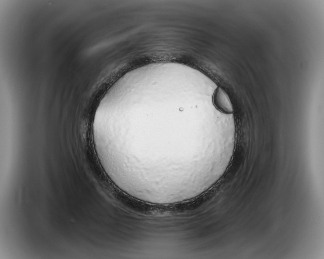 X0000083550742200703091553