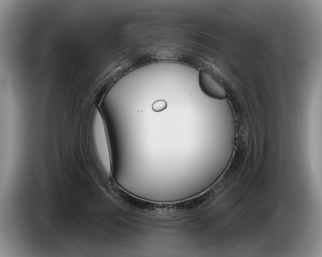X0000083550744200703091554