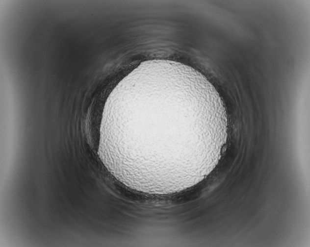 X0000083550745200703091554