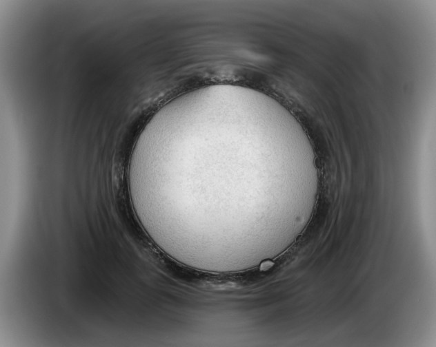X0000083550747200703091554