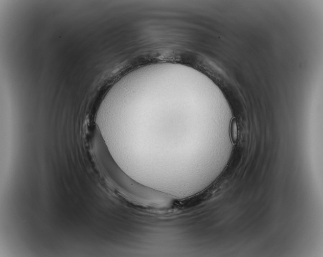 X0000083550748200703091554