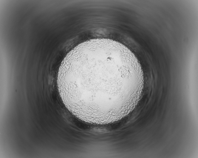 X0000083550749200703091554