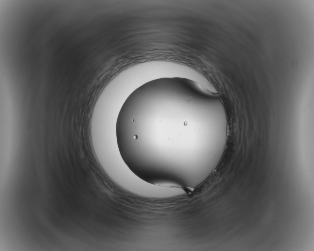 X0000083550750200703091554