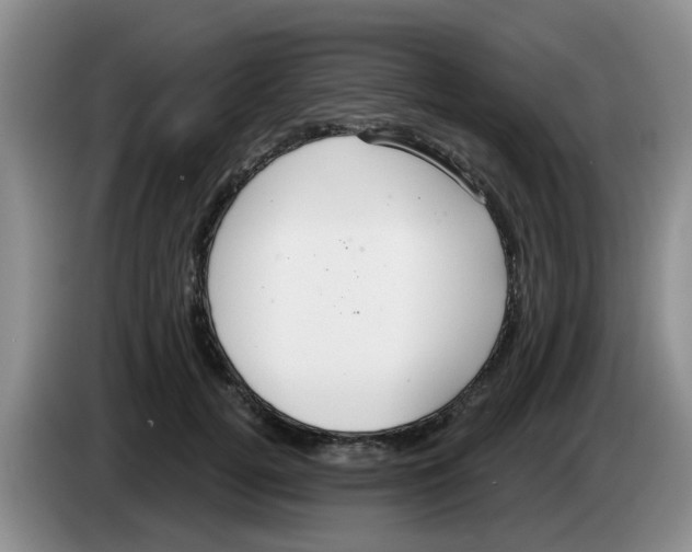 X0000083550752200703091554