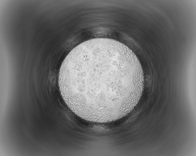 X0000083550753200703091554