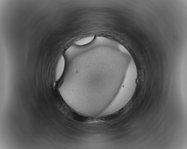 X0000083550754200703091554
