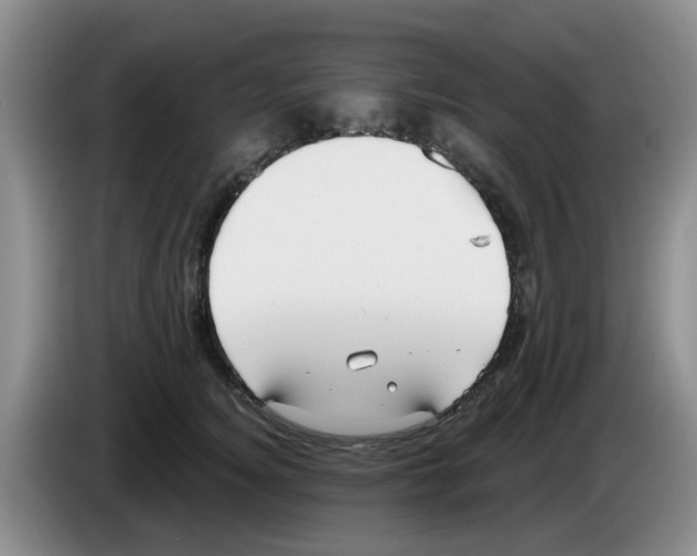 X0000083550756200703091554