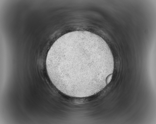 X0000083550757200703091554