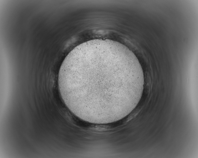 X0000083550758200703091554