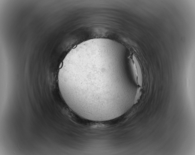 X0000083550759200703091554