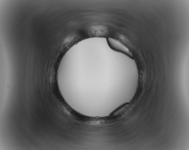 X0000083550760200703091554
