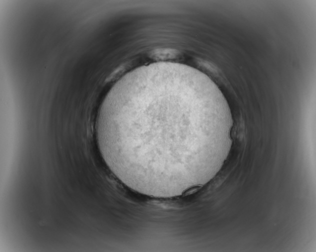 X0000083550763200703091554