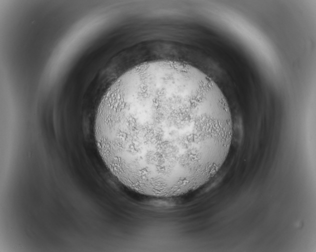 X0000083550765200703091554