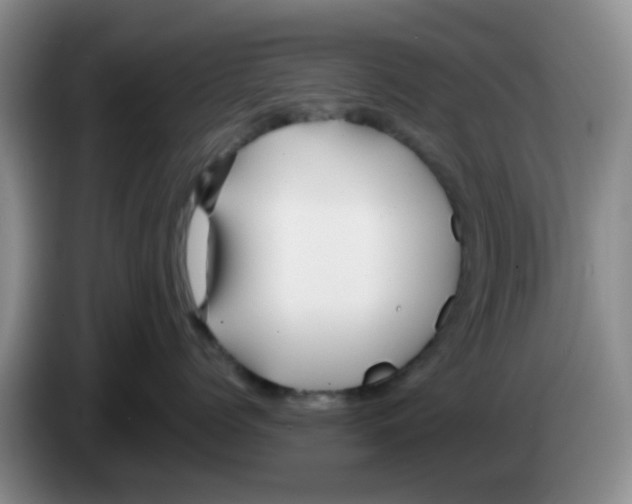 X0000083550768200703091554
