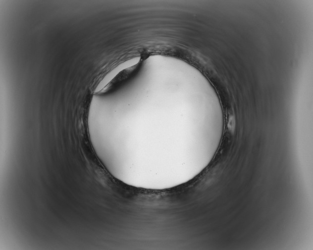 X0000083550771200703091553