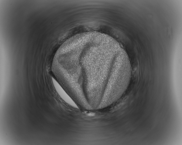X0000083550772200703091553