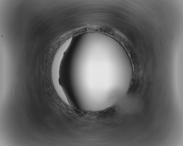 X0000083550773200703091553