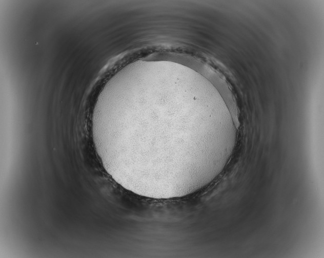 X0000083550776200703091553