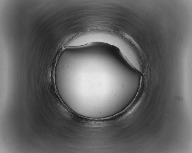 X0000083550777200703091553