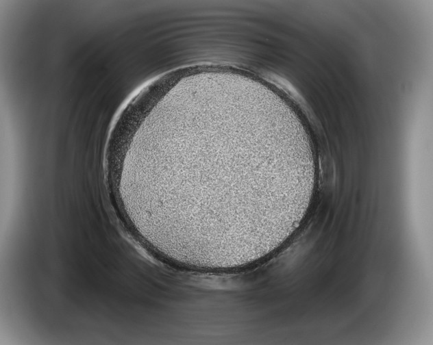 X0000083550780200703091553