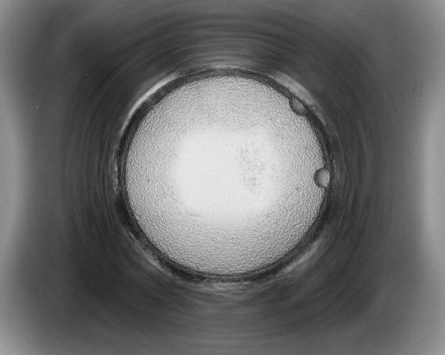 X0000083550782200703091553