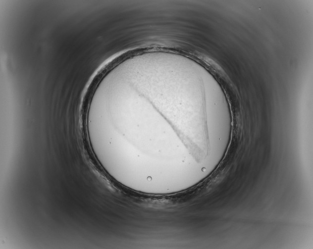 X0000083550784200703091553