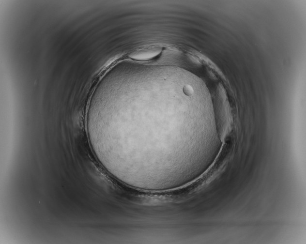 X0000083550785200703091553