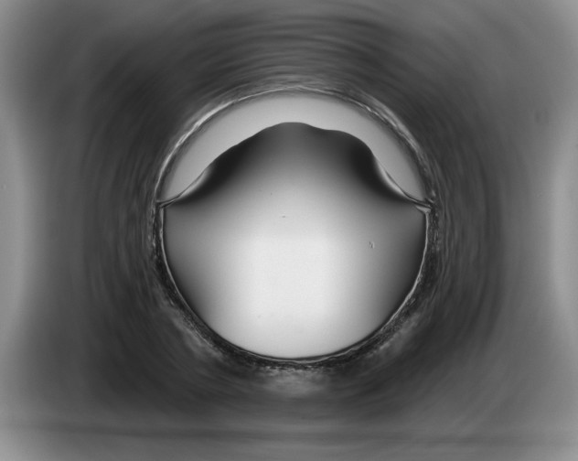 X0000083550786200703091553