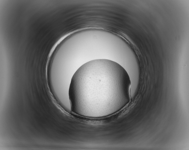 X0000083550788200703091553