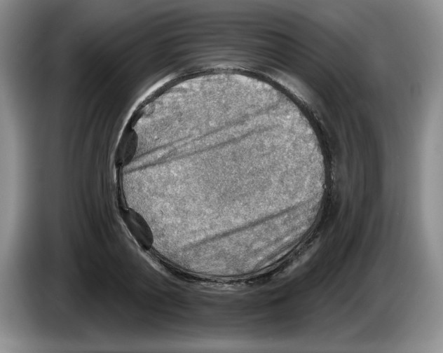X0000083550790200703091553
