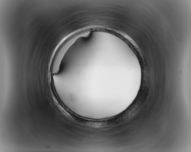 X0000083550791200703091553