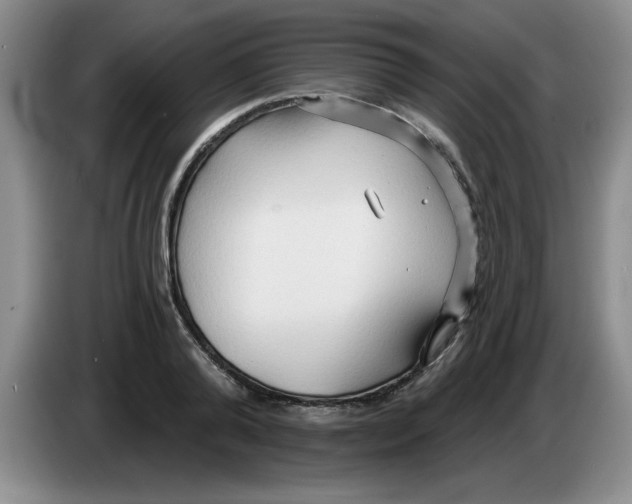 X0000083550792200703091553