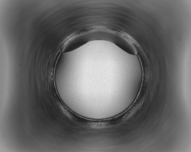 X0000083550793200703091553