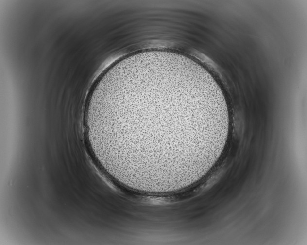X0000083550794200703091553