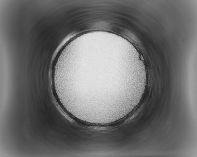 X0000083550796200703091553