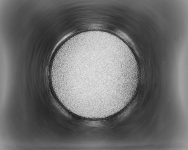 X0000083550798200703091553